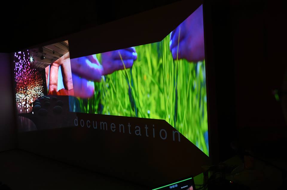 In- and out-sights of Pipilotti Rist the dog