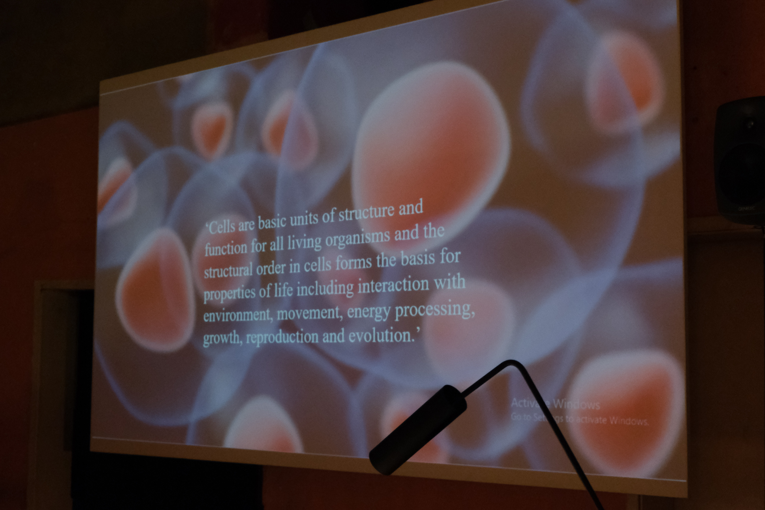 Esther Leslie: News About Atoms